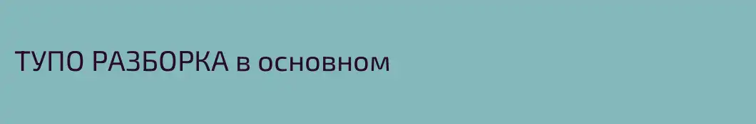ТУПО РАЗБОРКА в основном